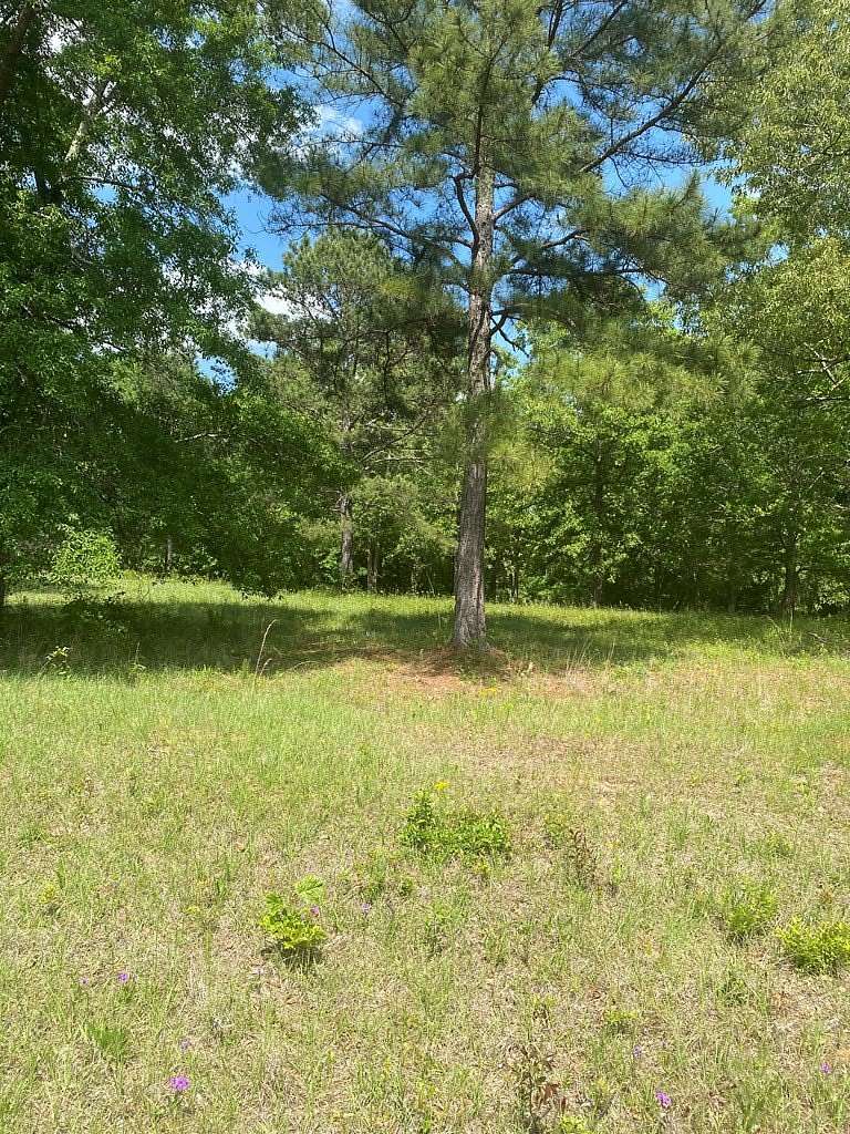 0.54 Acres of Residential Land for Sale in Hawkinsville, Georgia