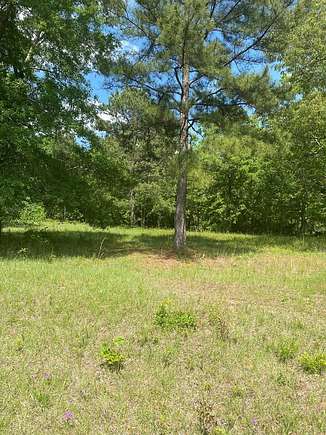 0.54 Acres of Residential Land for Sale in Hawkinsville, Georgia