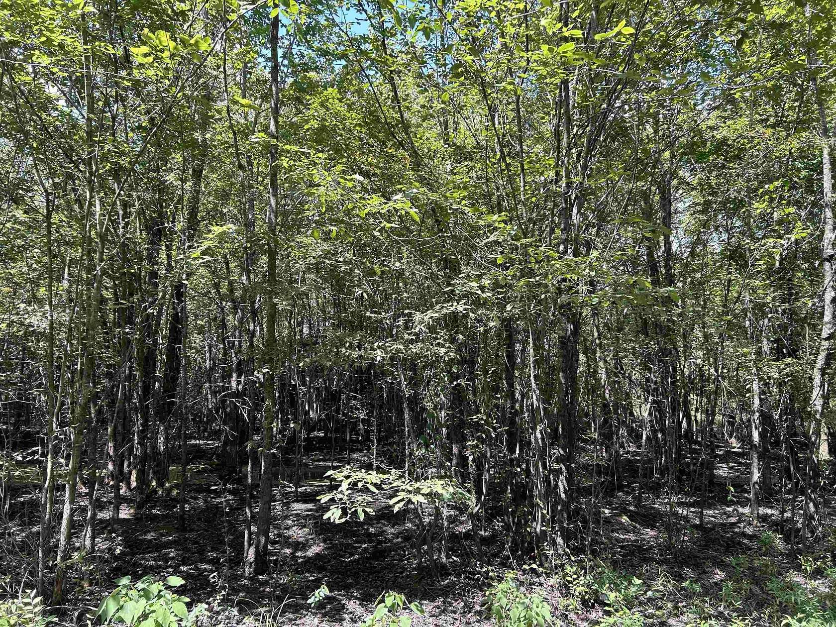 0.16 Acres of Land for Sale in Pine City, Arkansas