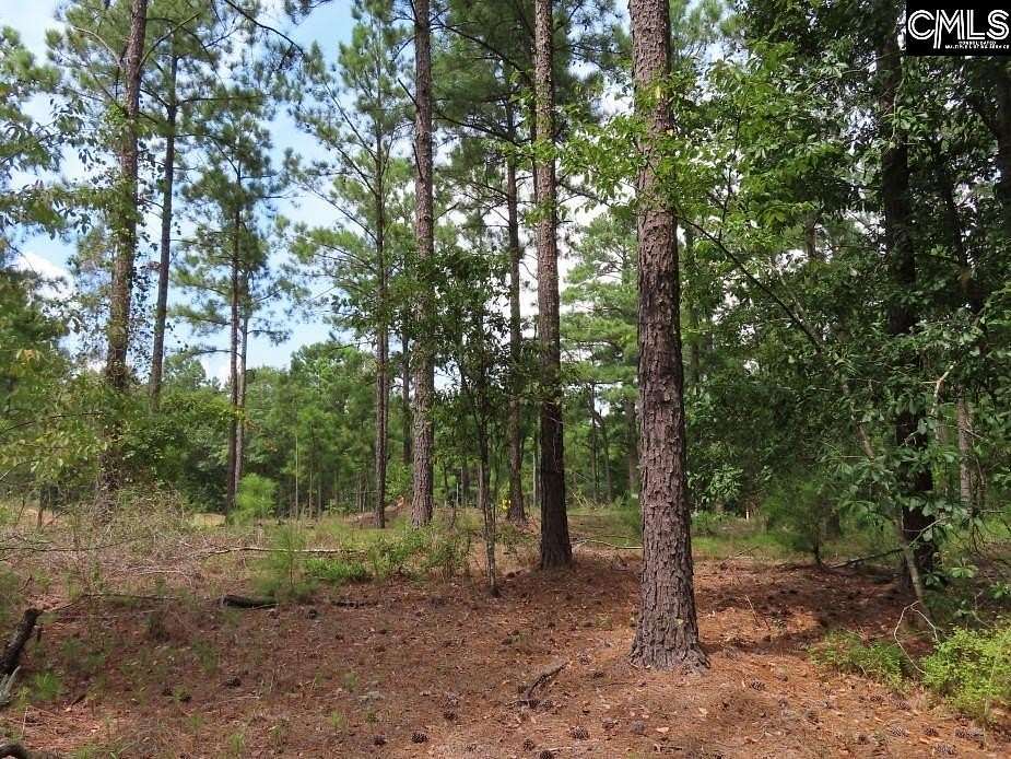 4.12 Acres of Residential Land for Sale in Winnsboro, South Carolina