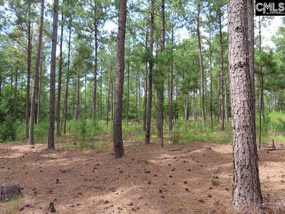 4.62 Acres of Residential Land for Sale in Winnsboro, South Carolina