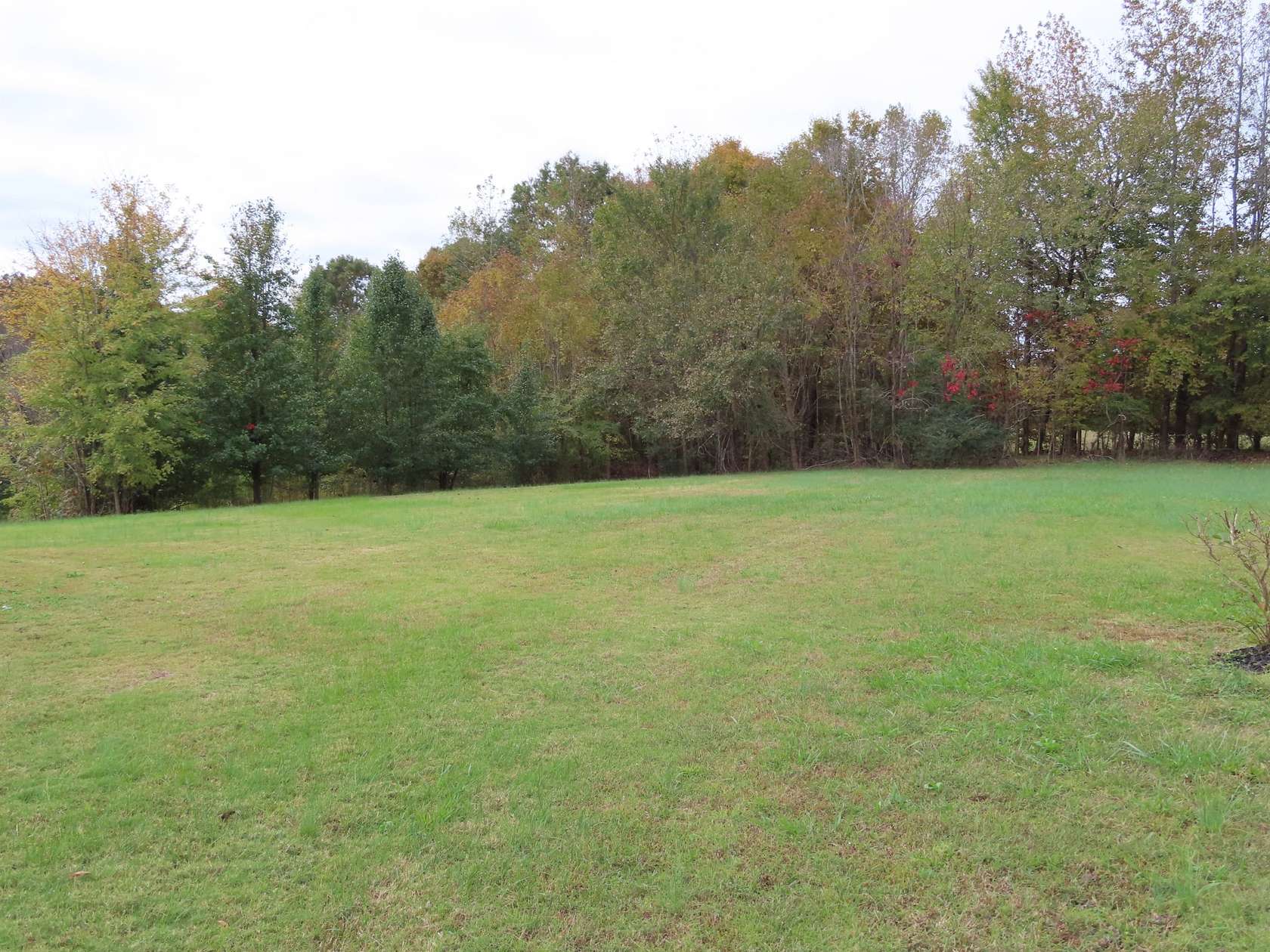 0.28 Acres of Residential Land for Sale in Jackson, Tennessee