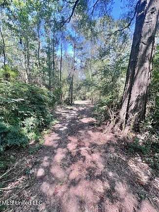 27.9 Acres of Land for Sale in Mendenhall, Mississippi