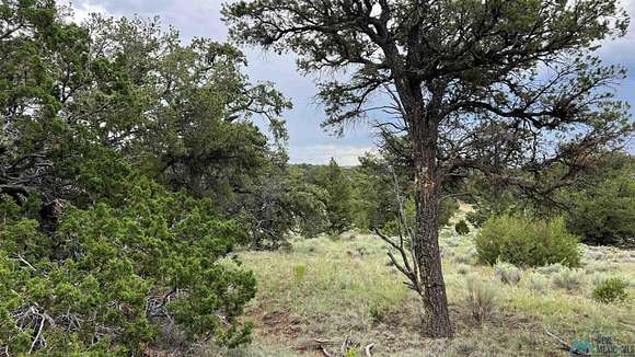 13.65 Acres of Land for Sale in Pie Town, New Mexico