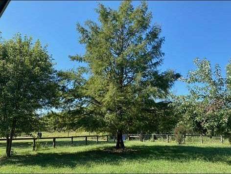 6.27 Acres of Land with Home for Sale in Checotah, Oklahoma