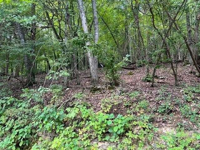 0.42 Acres of Residential Land for Sale in Holiday Island, Arkansas