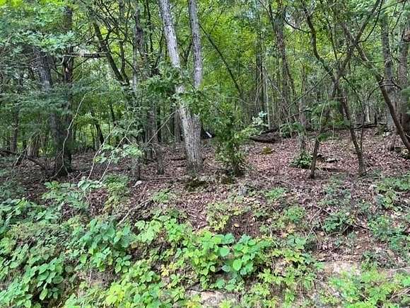 0.42 Acres of Residential Land for Sale in Holiday Island, Arkansas