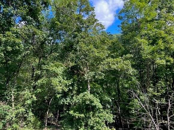 0.57 Acres of Residential Land for Sale in Holiday Island, Arkansas