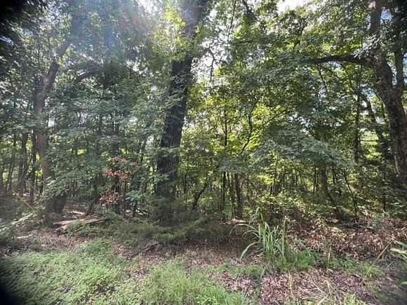 0.81 Acres of Residential Land for Sale in Holiday Island, Arkansas