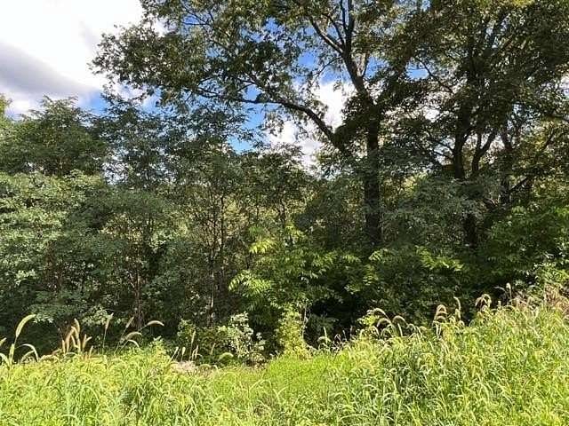 0.303 Acres of Residential Land for Sale in Holiday Island, Arkansas