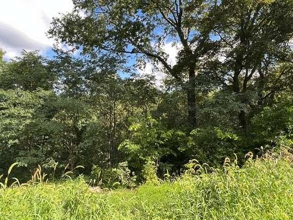 0.303 Acres of Residential Land for Sale in Holiday Island, Arkansas