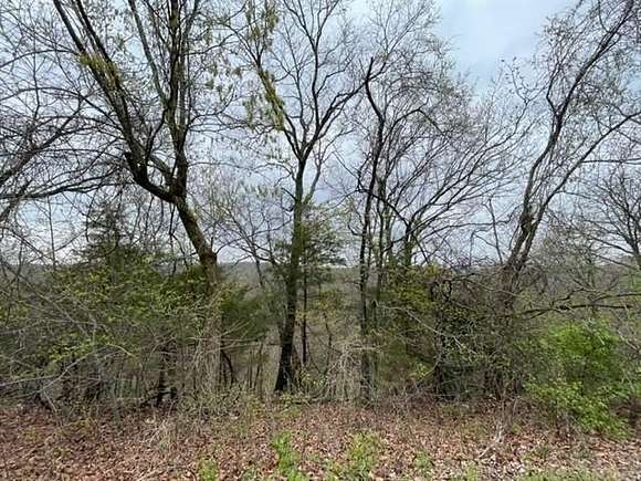 0.348 Acres of Residential Land for Sale in Holiday Island, Arkansas