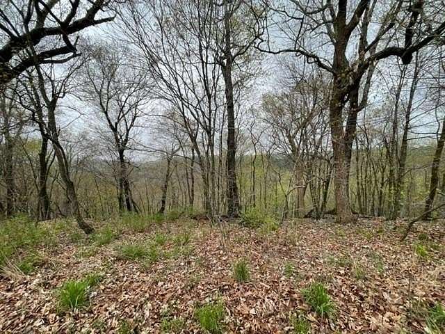 0.362 Acres of Residential Land for Sale in Holiday Island, Arkansas