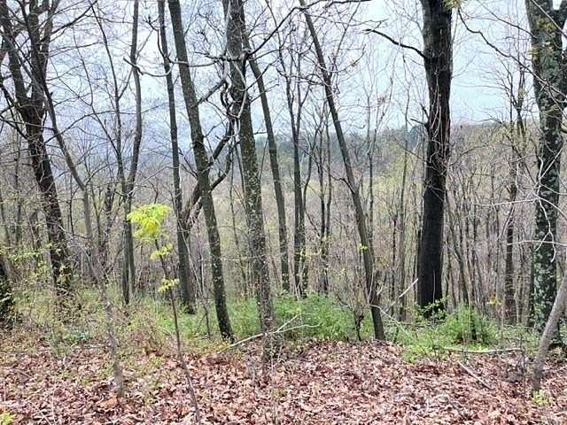 0.357 Acres of Residential Land for Sale in Holiday Island, Arkansas