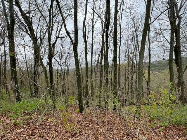 0.313 Acres of Residential Land for Sale in Holiday Island, Arkansas