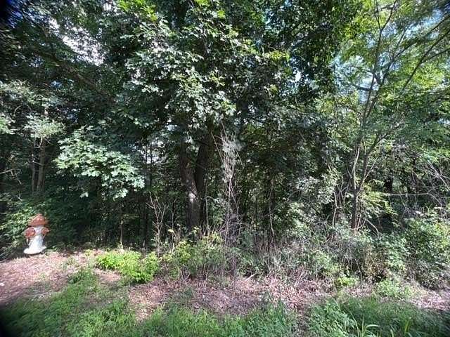 0.307 Acres of Residential Land for Sale in Holiday Island, Arkansas