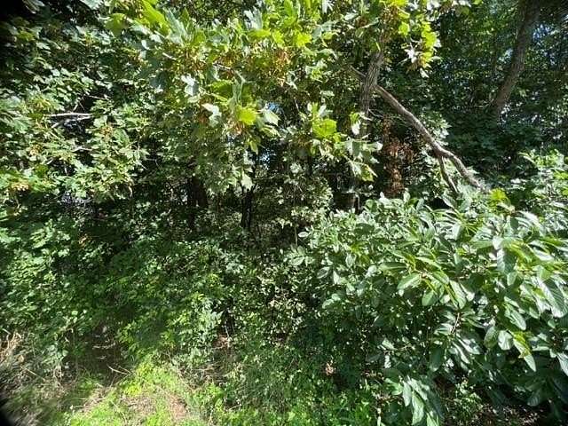 0.311 Acres of Residential Land for Sale in Holiday Island, Arkansas