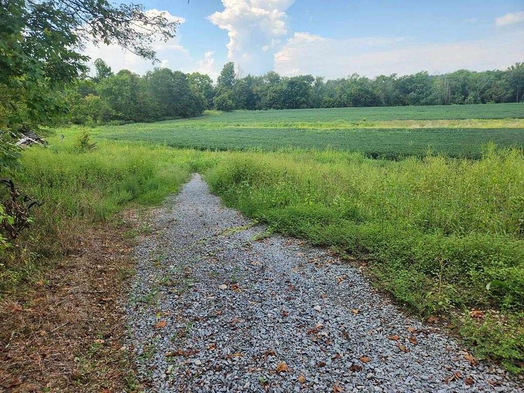 58 Acres of Land for Sale in Hillsboro, Kentucky