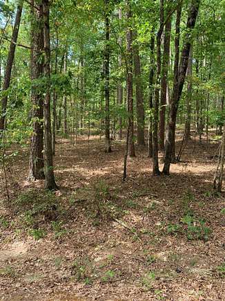 0.45 Acres of Residential Land for Sale in Hot Springs Village, Arkansas