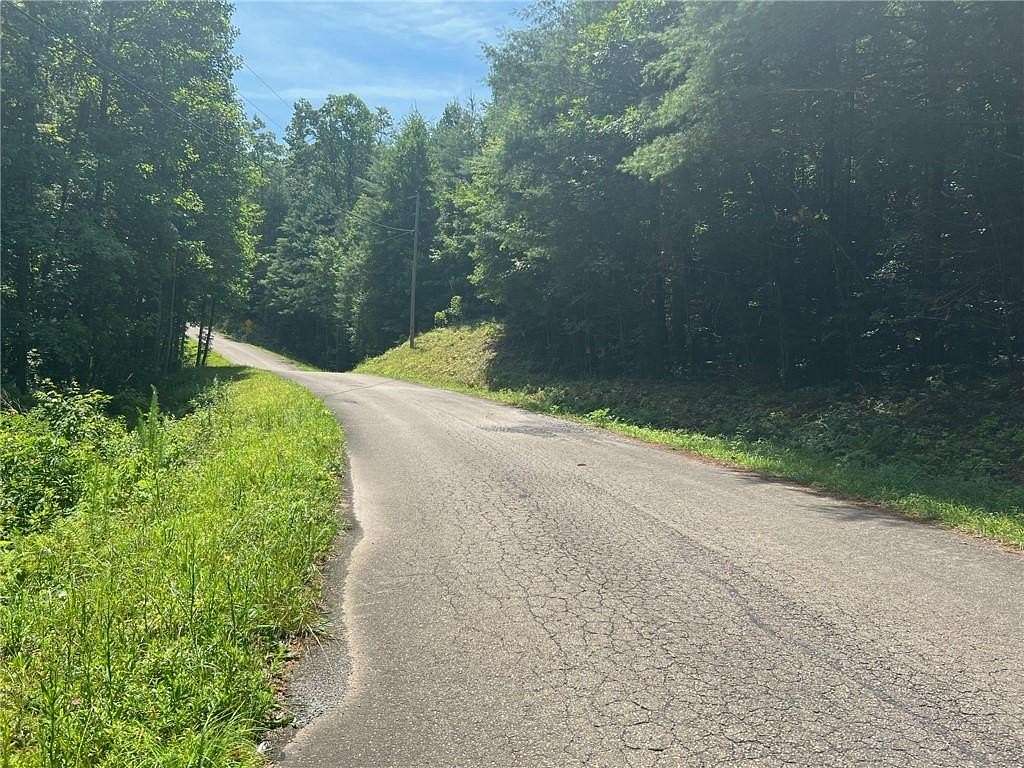 2 Acres of Residential Land for Sale in Ellijay, Georgia