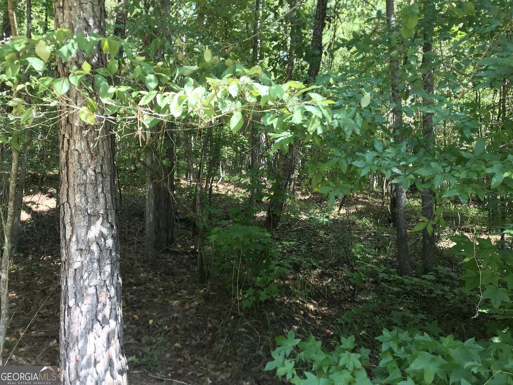 1.02 Acres of Residential Land for Sale in Sparta, Georgia