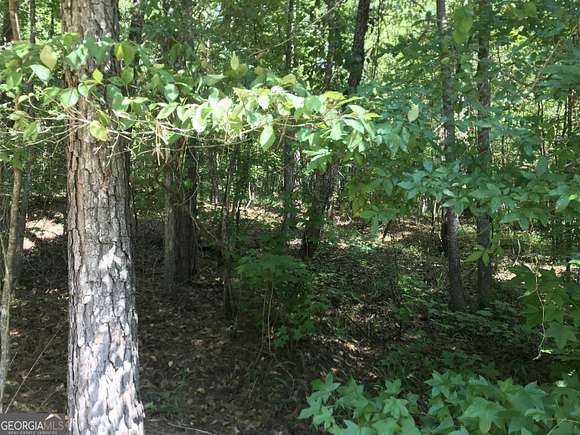 1.02 Acres of Residential Land for Sale in Sparta, Georgia