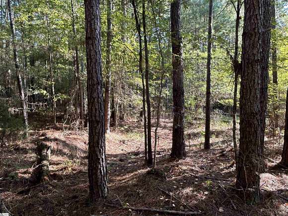 17 Acres of Recreational Land for Sale in Chappells, South Carolina