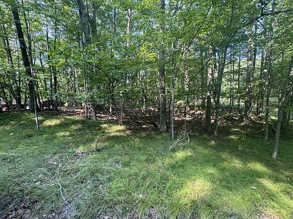 0.39 Acres of Residential Land for Sale in Canadian Lakes, Michigan