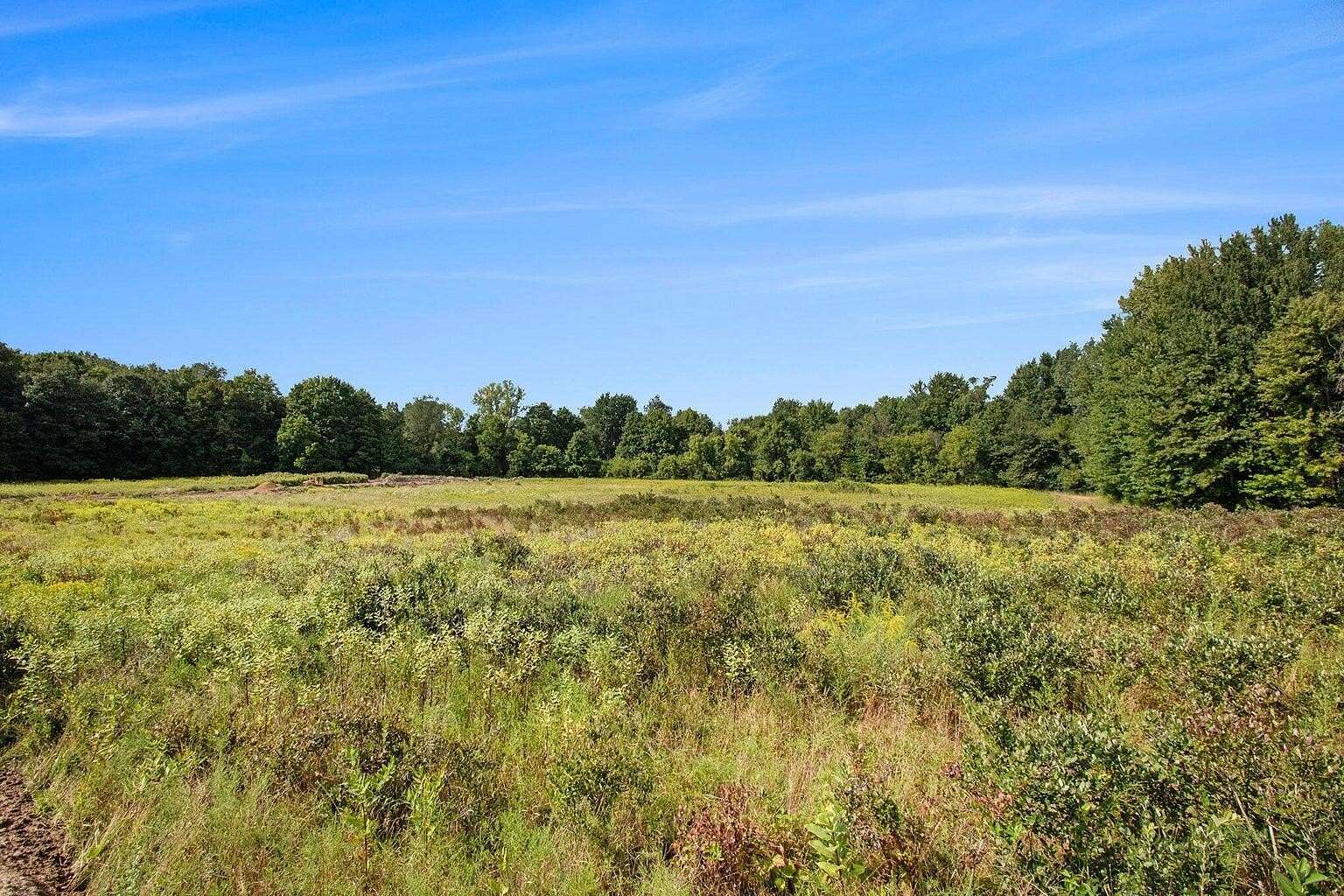 9.01 Acres of Land for Sale in Grand Junction, Michigan