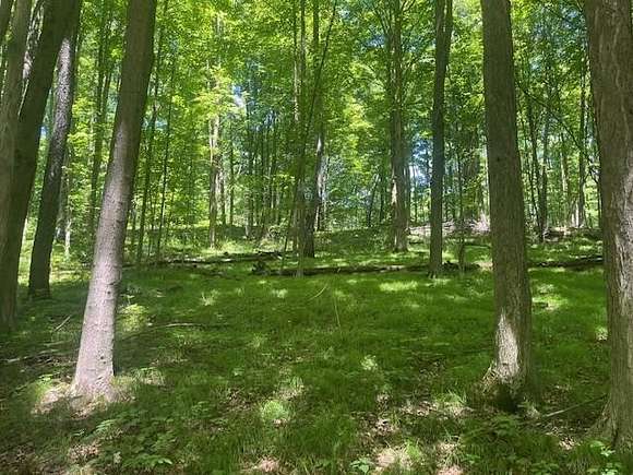 1.21 Acres of Residential Land for Sale in Kalamazoo, Michigan