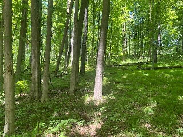 1.42 Acres of Residential Land for Sale in Kalamazoo, Michigan