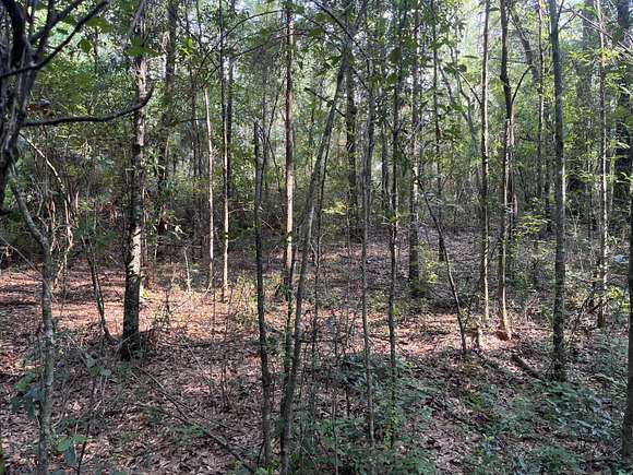 1.1 Acres of Residential Land for Sale in Mobile, Alabama