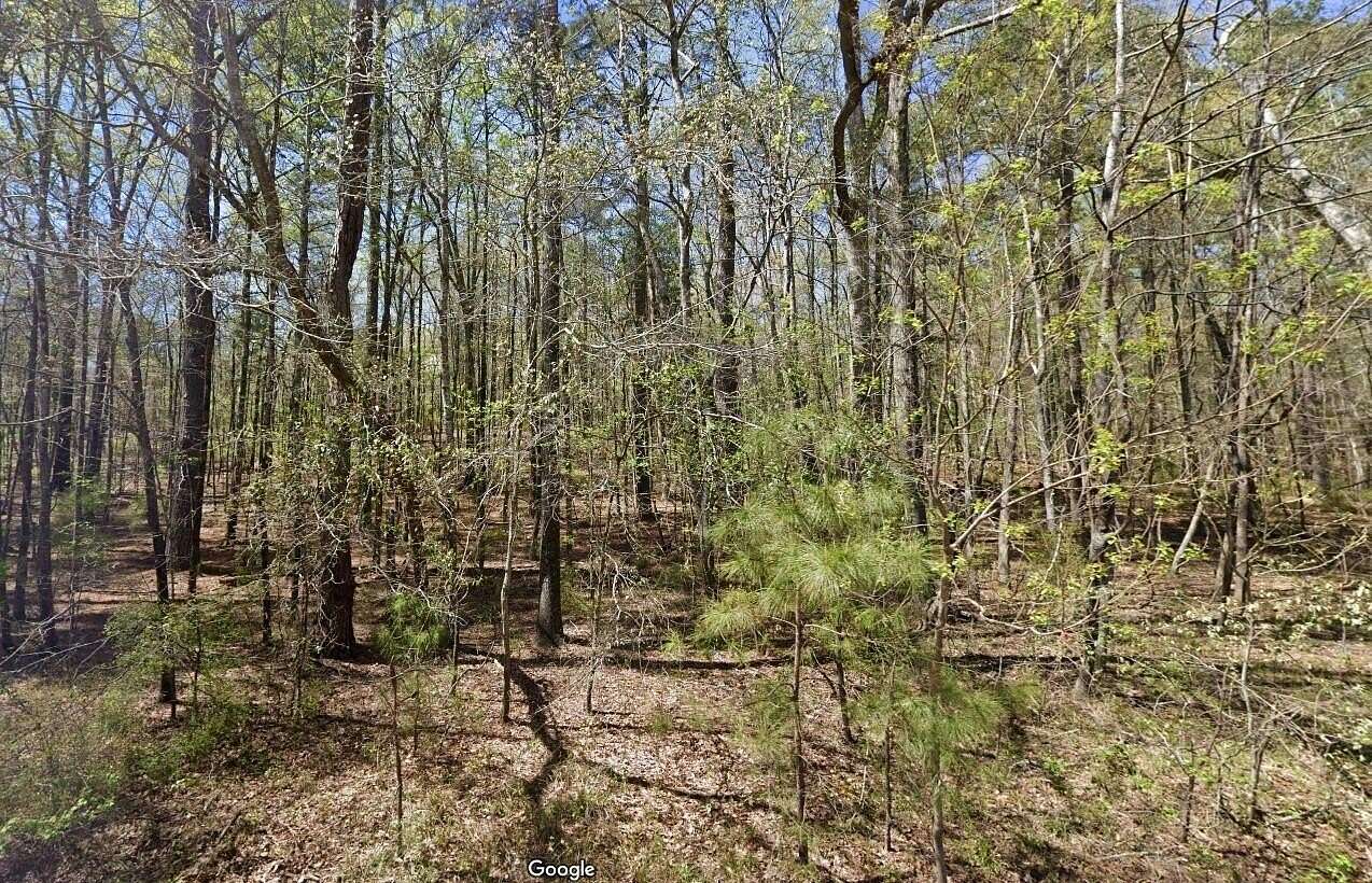 2 Acres of Land for Sale in Columbus, Mississippi