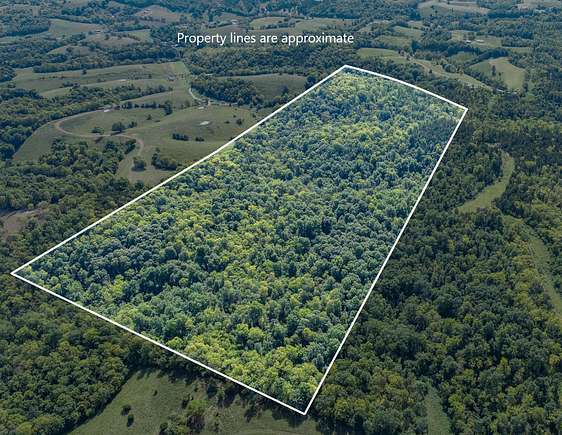 76 Acres of Recreational Land & Farm for Sale in Owingsville, Kentucky