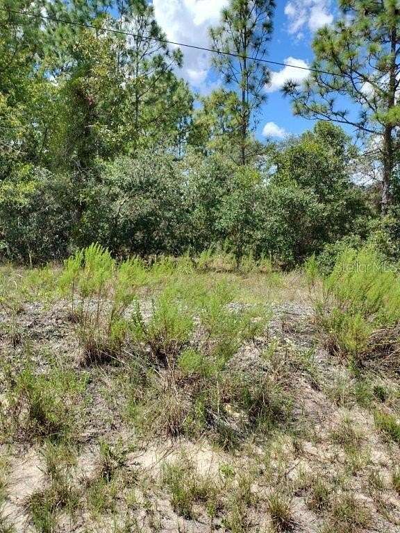 1.03 Acres of Residential Land for Sale in Dunnellon, Florida