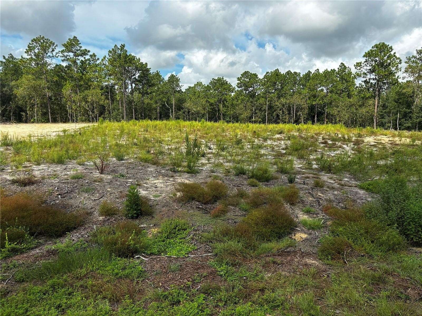 1.16 Acres of Residential Land for Sale in Ocala, Florida