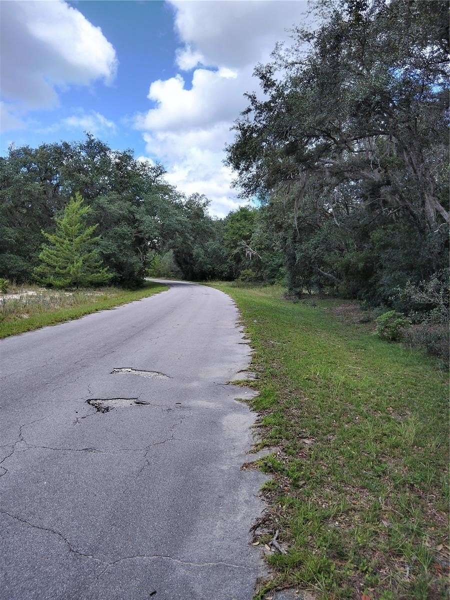 0.23 Acres of Residential Land for Sale in Ocklawaha, Florida