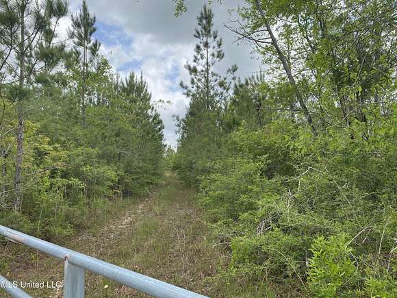 100 Acres of Land for Sale in Lucedale, Mississippi