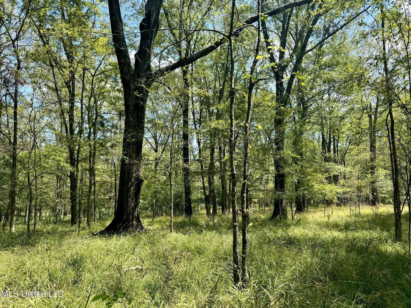 18.83 Acres of Land for Sale in Clinton, Mississippi