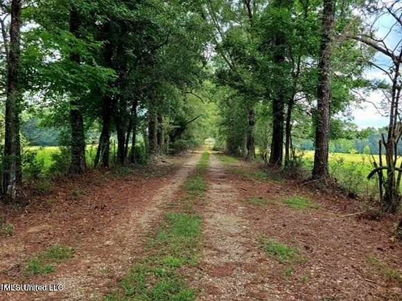 24.15 Acres of Land for Sale in Poplarville, Mississippi