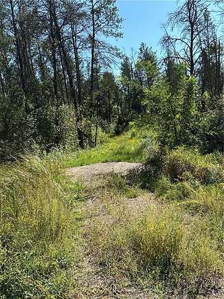 40 Acres of Recreational Land for Sale in Black River Falls, Wisconsin