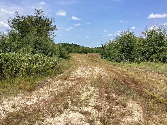 50 Acres of Recreational Land for Sale in Opp, Alabama