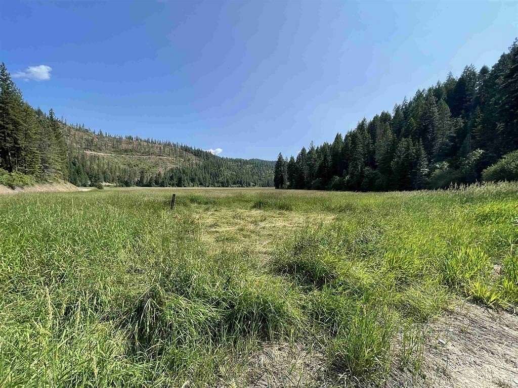 0.25 Acres of Land for Sale in Loon Lake, Washington