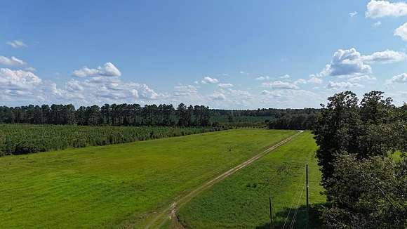 29.8 Acres of Agricultural Land for Sale in Cross, South Carolina