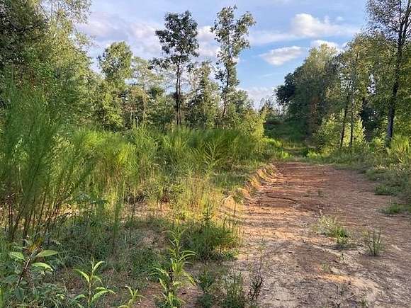 80 Acres of Land for Sale in Cullman, Alabama