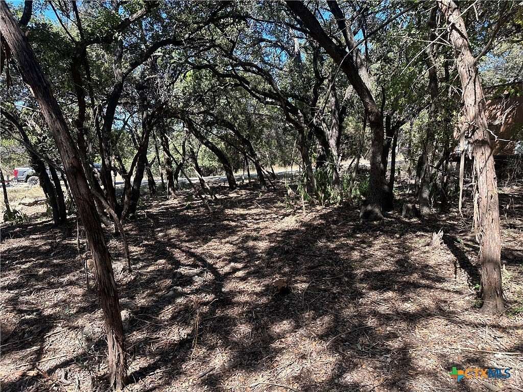 0.246 Acres of Residential Land for Sale in Canyon Lake, Texas