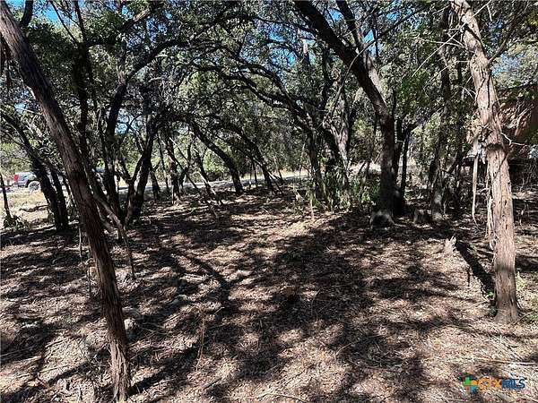 0.25 Acres of Land for Sale in Canyon Lake, Texas