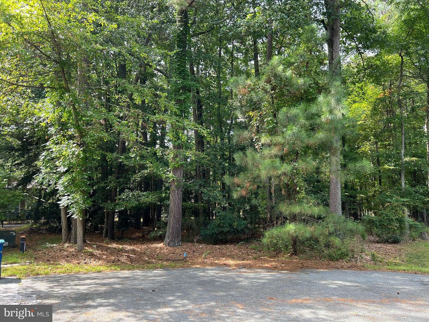 0.33 Acres of Residential Land for Sale in Swan Point, Maryland