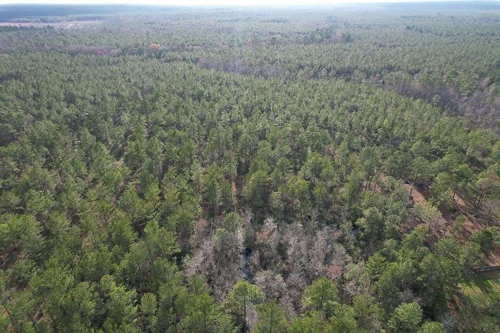 3.1 Acres of Residential Land for Sale in Naylor, Georgia