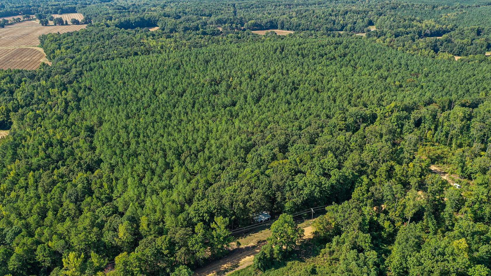 53 Acres of Recreational Land for Sale in Coffeeville, Mississippi